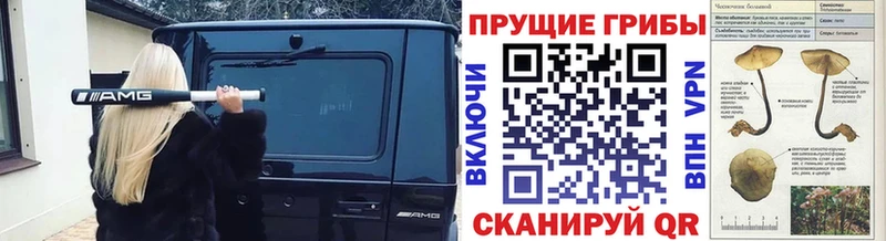 Галлюциногенные грибы Magic Shrooms  Купить где  Гвардейск 